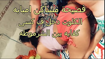 سكس عربي نار فضيحة امل شرموطة امبابة بتقولة دخل زوبرك فى كسى يابن المتناكة 